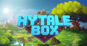 Server banner Hytale Box